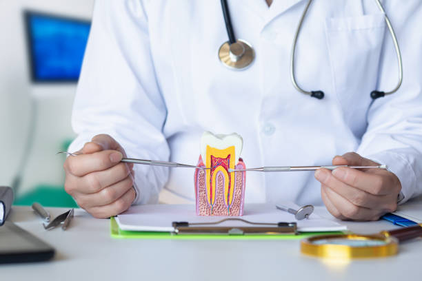 Best Urgent Care for Lost Fillings or Crowns in Mount Airy, GA
